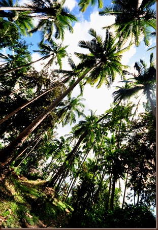 The Boho Chic Wanderer: Travel ...